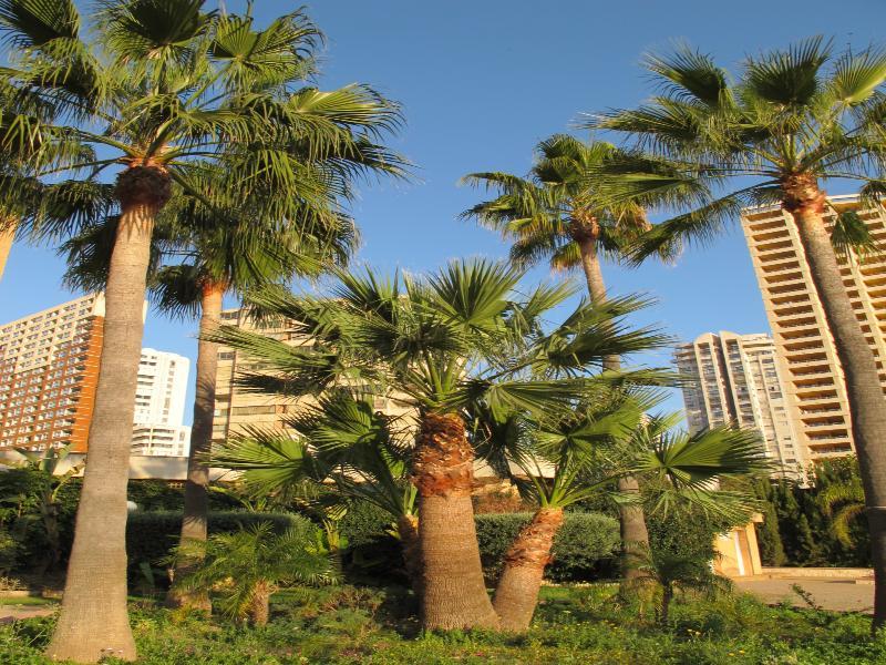 Apartamentos Vistamar Benidorm Extérieur photo